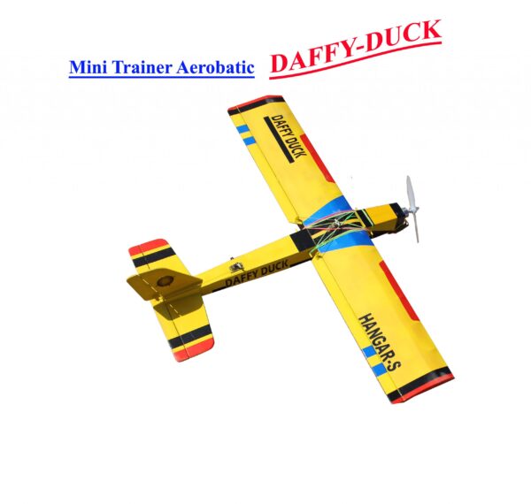 DAFFY DUCK RC KIT